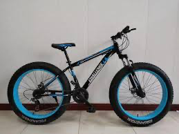 Appgrow Fat tyre 26" Cycle with Fat Tyres of 26 * 4.00 with 21 Speed Shimano Gears