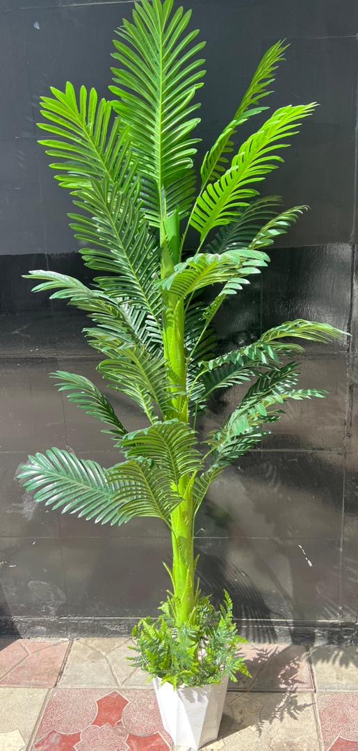 Kaykon Artificial Plant